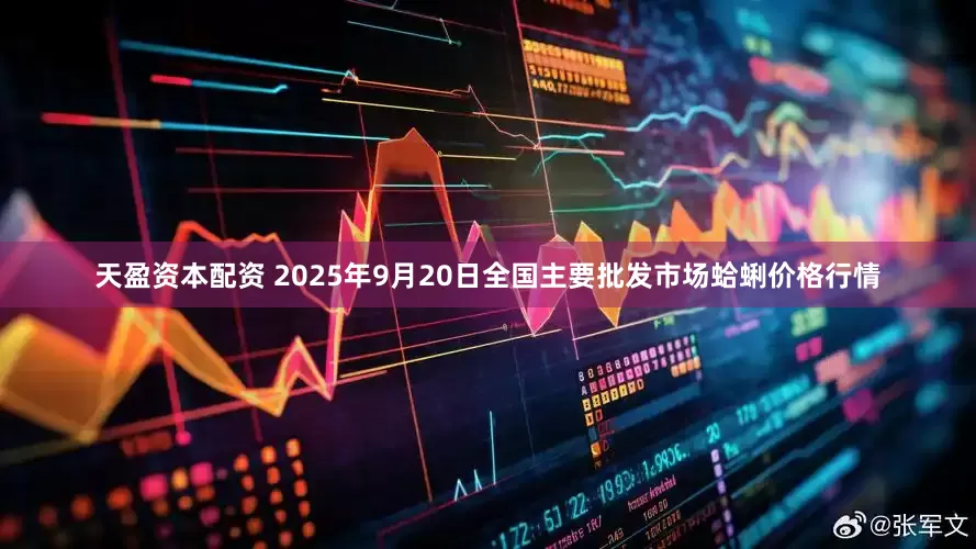 天盈资本配资 2025年9月20日全国主要批发市场蛤蜊价格行情