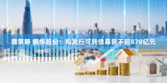 鑫策略 振华股份：拟发行可转债募资不超878亿元